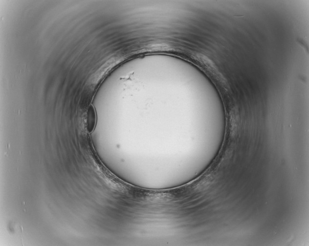 X0000102221225200808151657