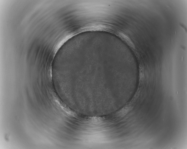 X0000102221226200808151657