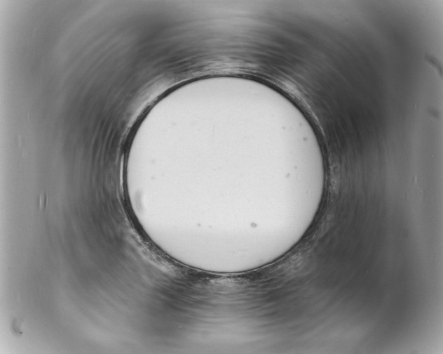 X0000102221227200808151657