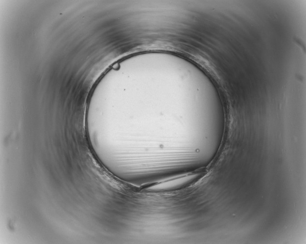 X0000102221228200808151657