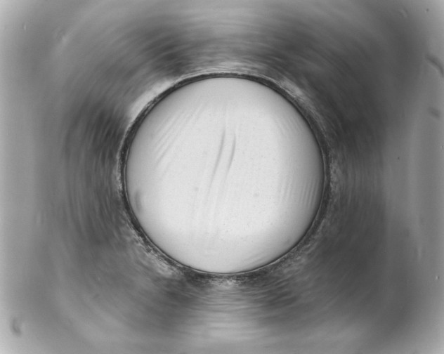 X0000102221230200808151657