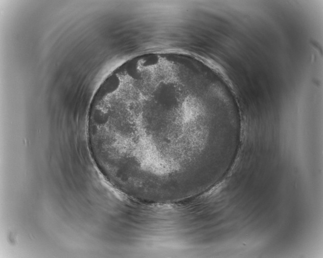 X0000102221231200808151657