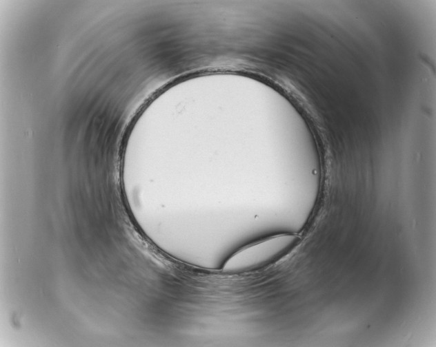 X0000102221232200808151657