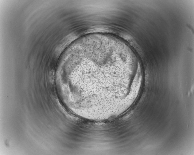 X0000102221233200808151657