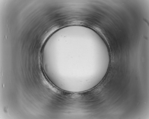 X0000102221235200808151657