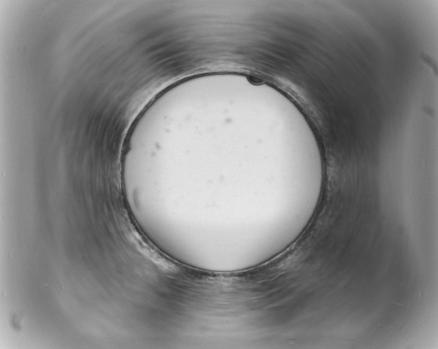 X0000102221236200808151657