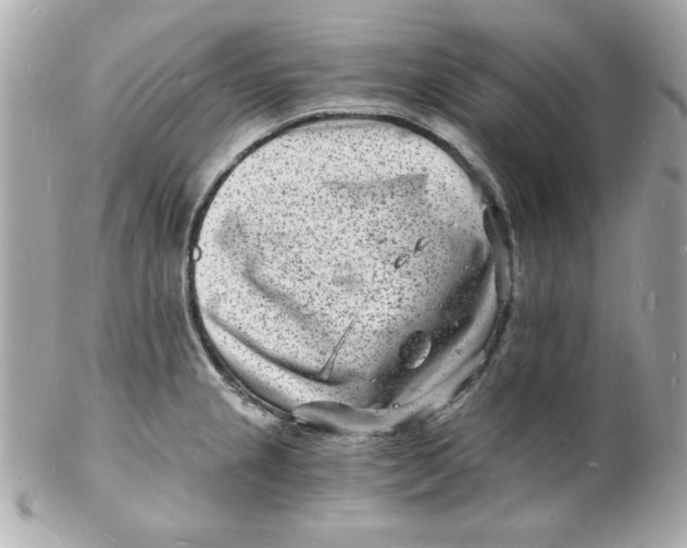 X0000102221237200808151657