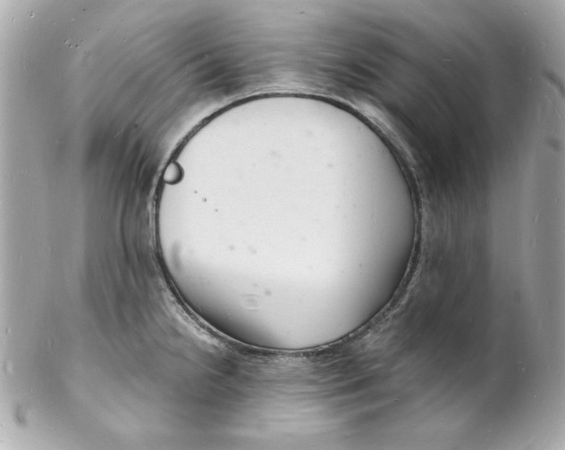 X0000102221238200808151657