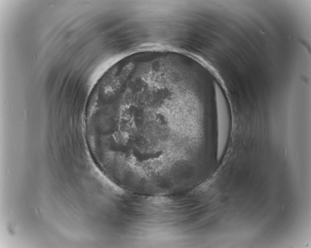 X0000102221239200808151657