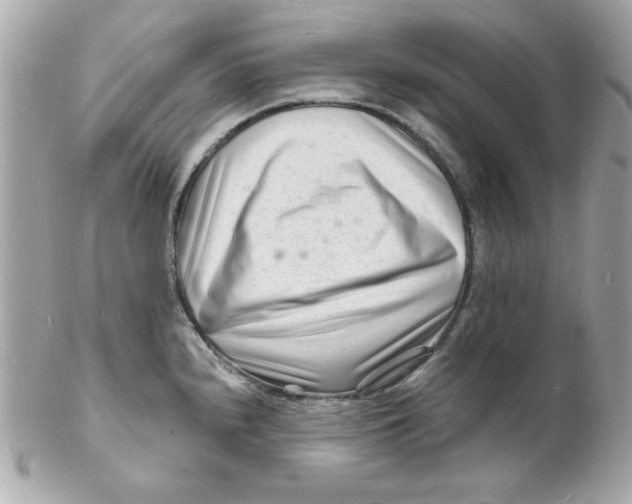 X0000102221240200808151657