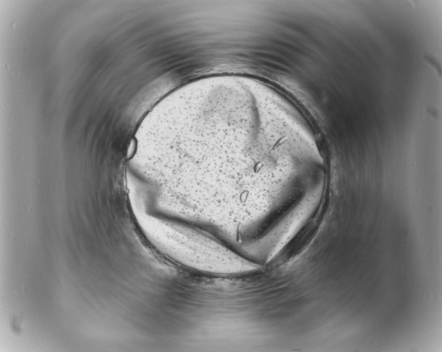 X0000102221241200808151658