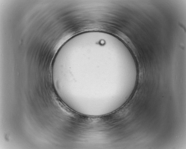 X0000102221242200808151658