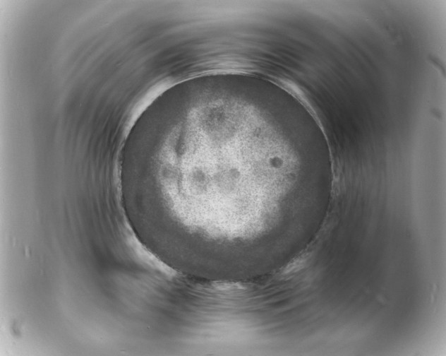 X0000102221243200808151658