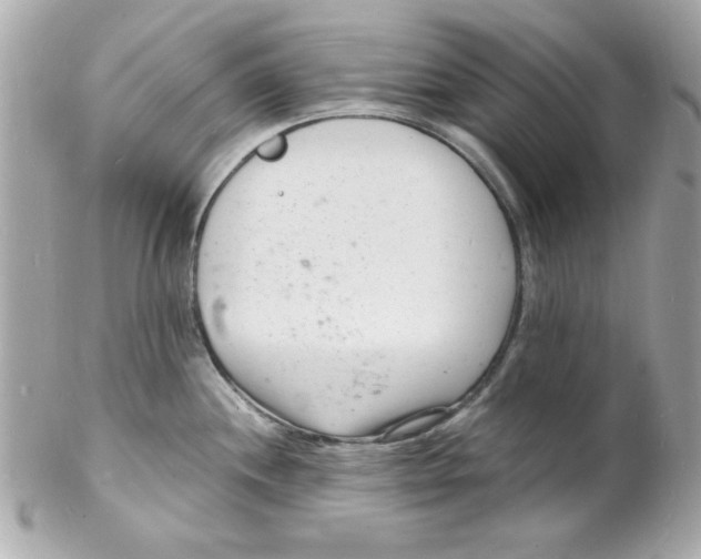 X0000102221244200808151658