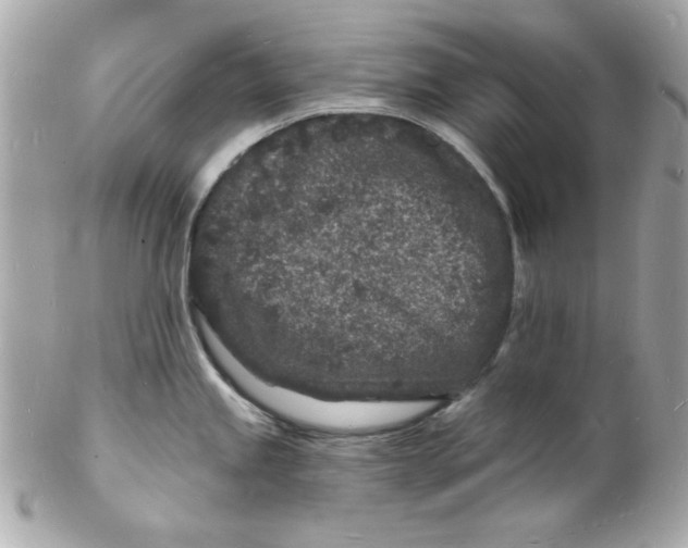 X0000102221245200808151658