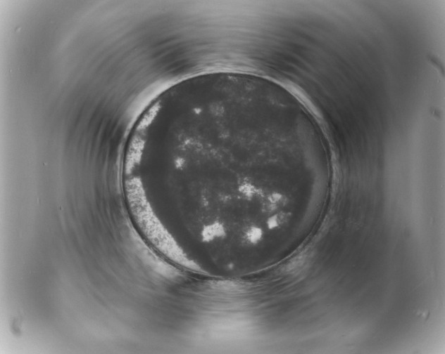 X0000102221246200808151658