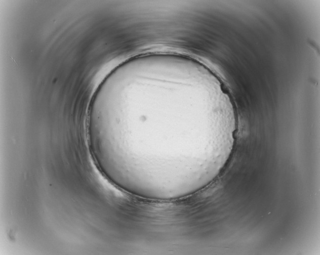 X0000102221247200808151658