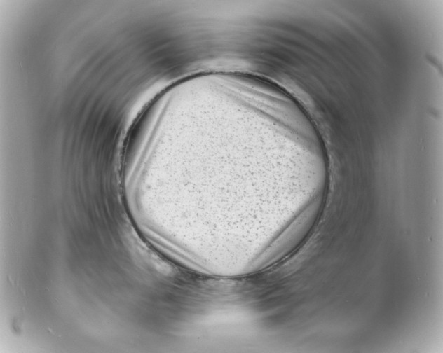 X0000102221248200808151658