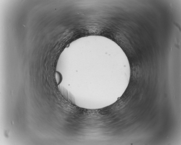 X0000102221249200808151656