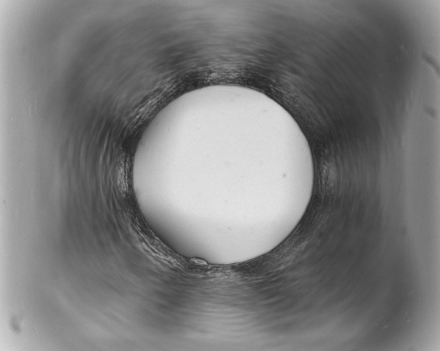 X0000102221250200808151656