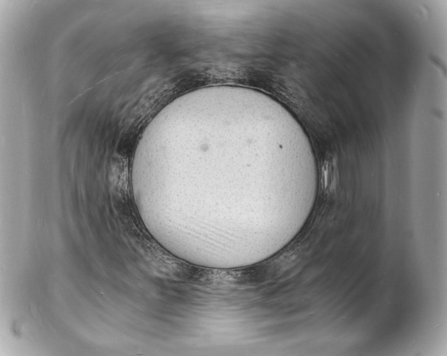 X0000102221251200808151656