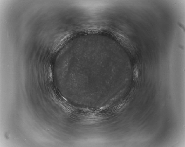 X0000102221252200808151656