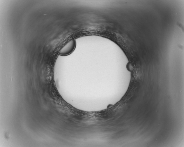 X0000102221253200808151656