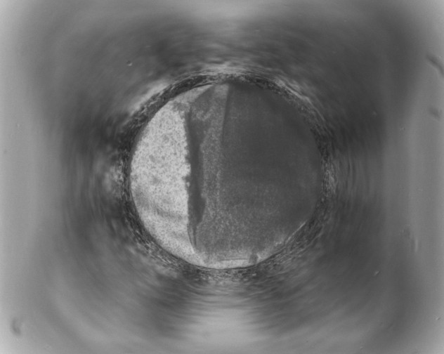 X0000102221254200808151656