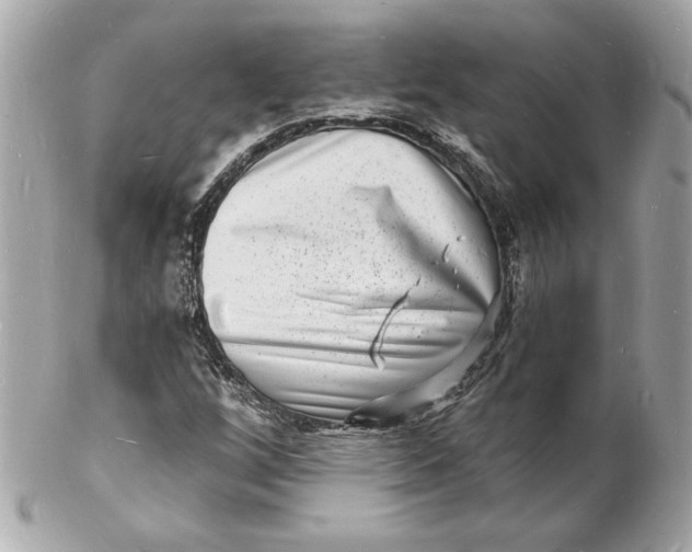 X0000102221256200808151656