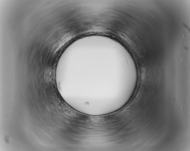 X0000102221258200808151656