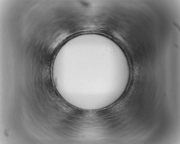 X0000102221259200808151656