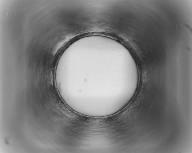 X0000102221262200808151656