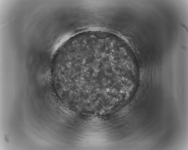 X0000102221263200808151656