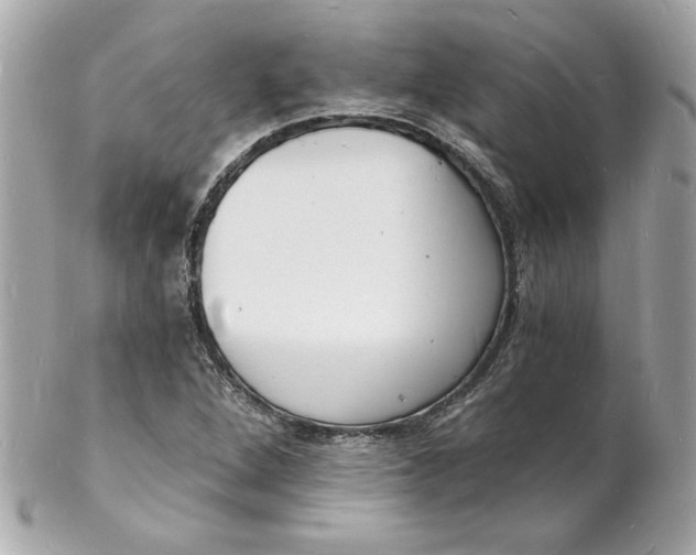 X0000102221264200808151656