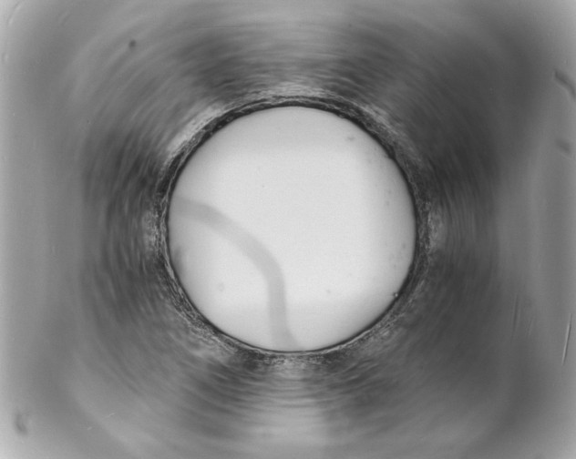 X0000102221266200808151656