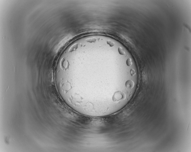 X0000102221267200808151656