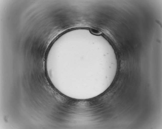 X0000102221268200808151656