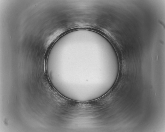 X0000102221269200808151656