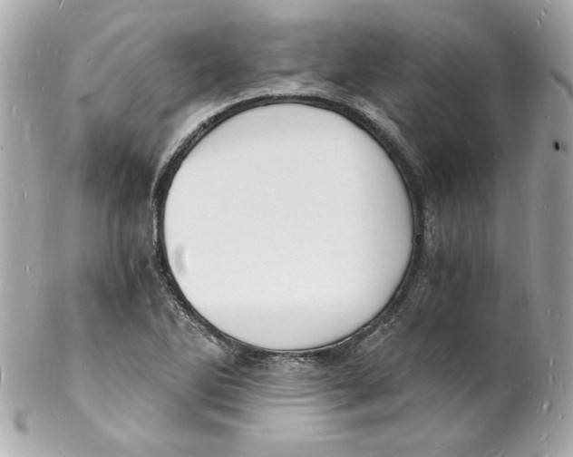 X0000102221270200808151656