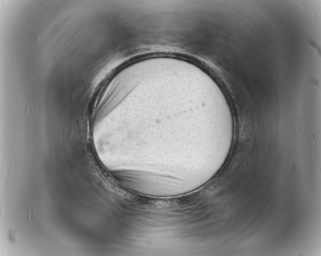 X0000102221271200808151656