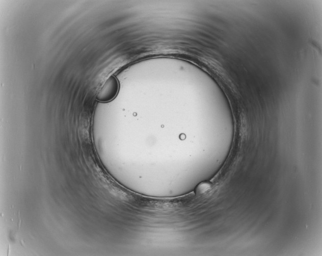 X0000102221273200808151656