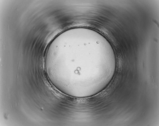 X0000102221274200808151656