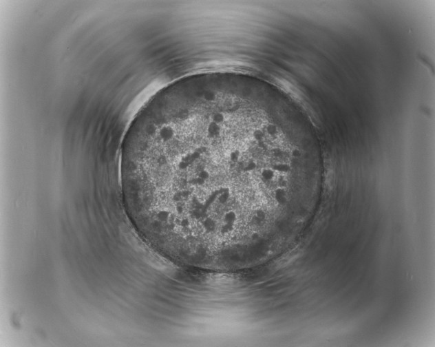 X0000102221275200808151656