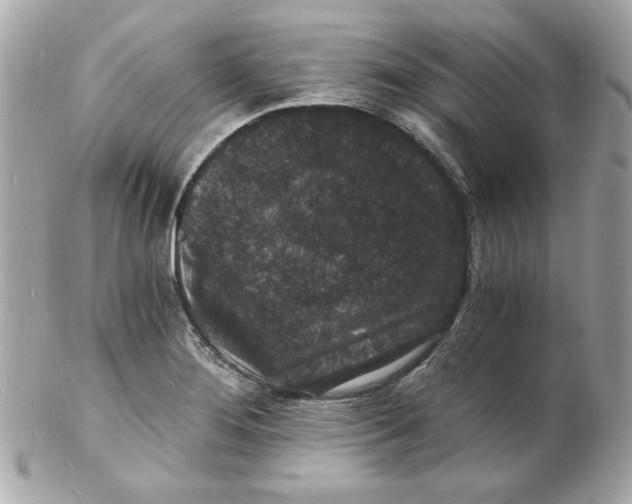 X0000102221276200808151656