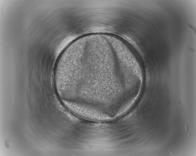 X0000102221277200808151656