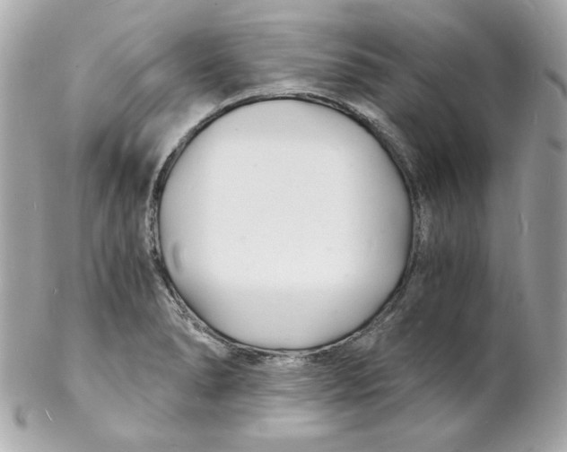 X0000102221278200808151656