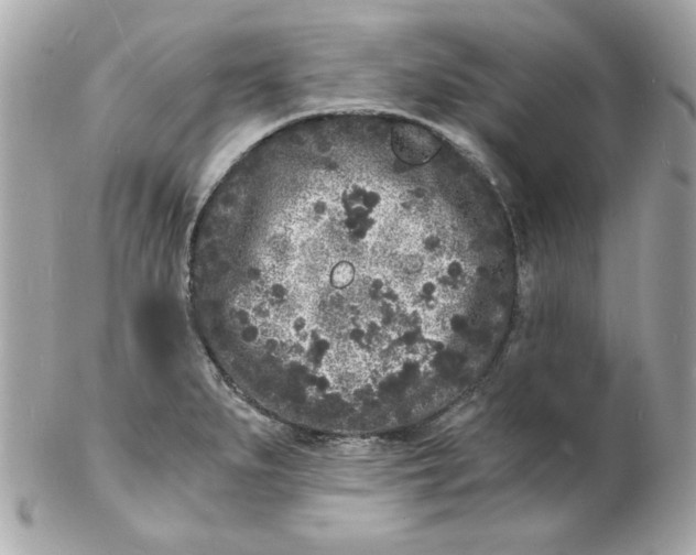 X0000102221279200808151656