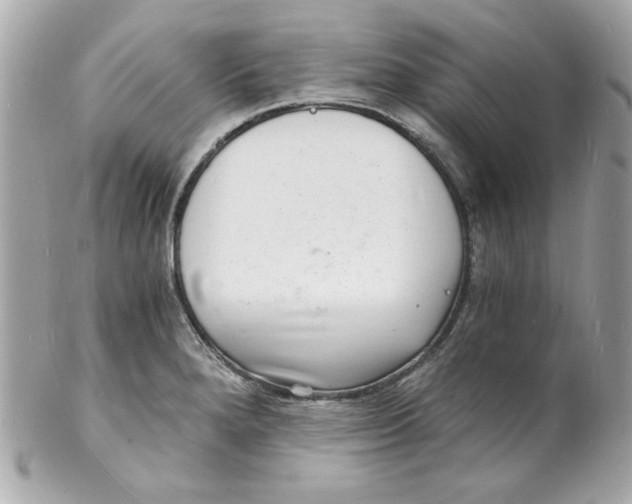 X0000102221280200808151656