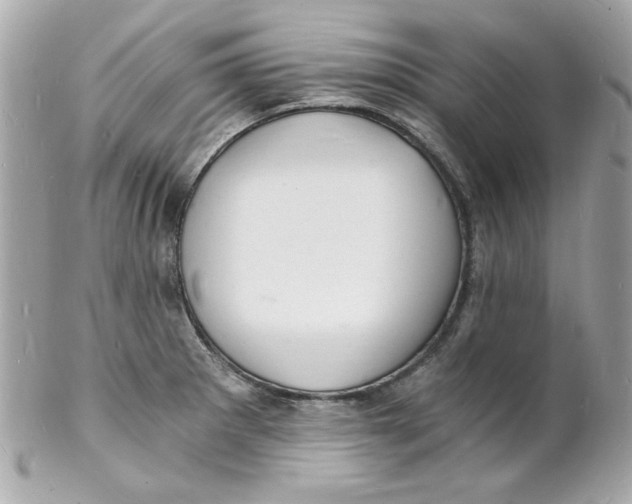 X0000102221281200808151656