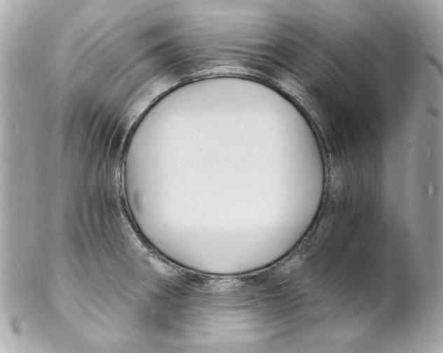 X0000102221282200808151656